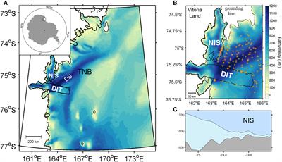 Spatiotemporal variability in ocean-driven basal melting of cold-water cavity ice shelf in Terra Nova Bay, East Antarctica: roles of tide and cavity geometry